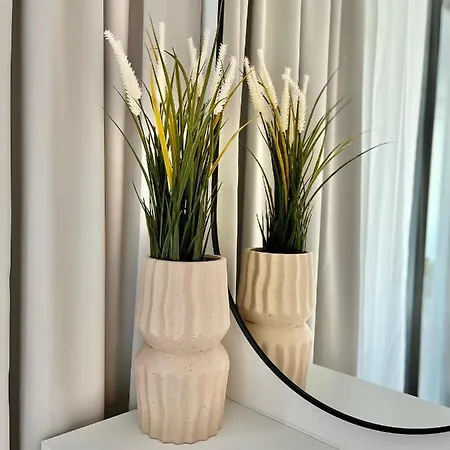 Modern Mediterranean Superior *