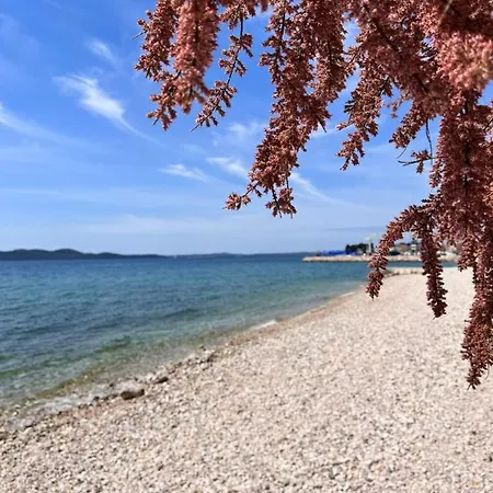 Modern Mediterranean Superior *