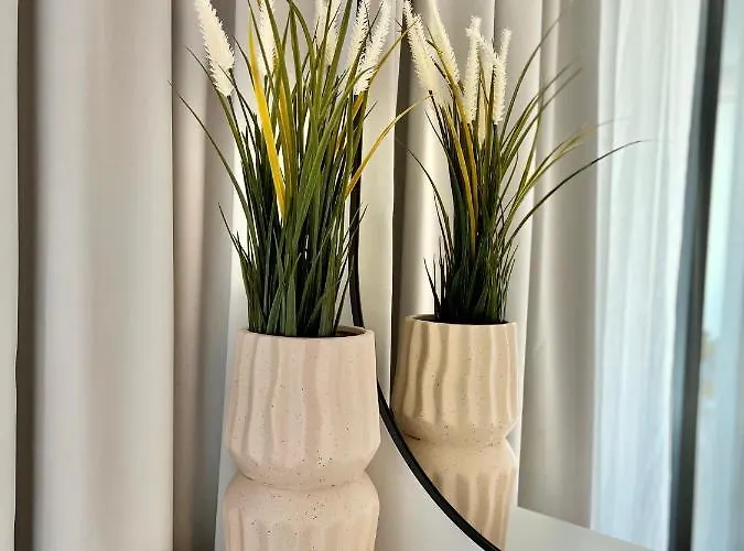 Modern Mediterranean Superior *